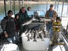 (11/01/2015) - Nice Striped Bass